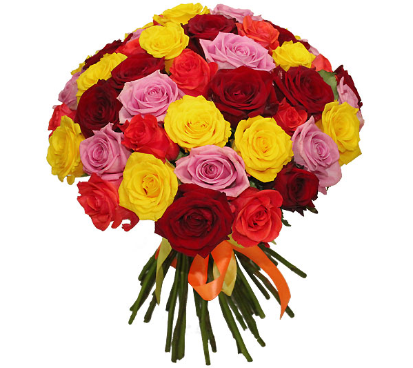 Букет из 15 свежих эквадорских роз