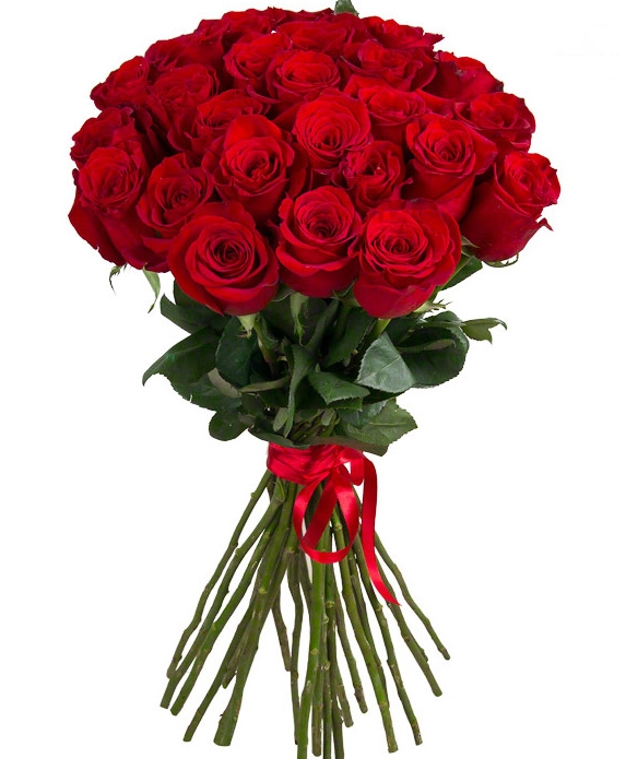 Букет из 15 красных роз 60 см