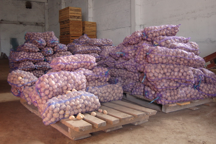 Картофель со склада в Вологде