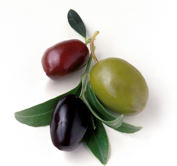 Самые распространенные сорта столовых оливок и маслин 