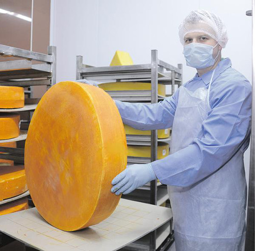 20 декабря в продажу поступит сыр, произведённый на Тульском молочном комбинате!